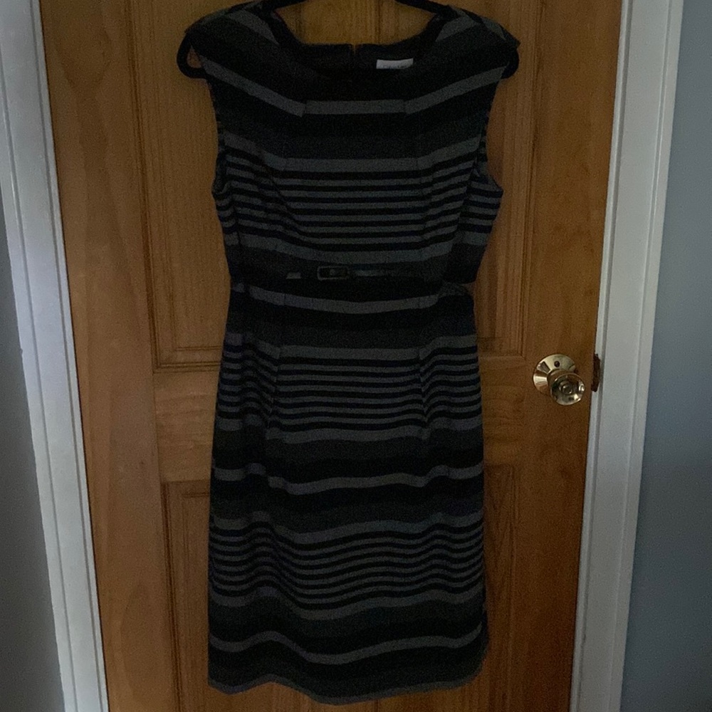 Size 12 Lined Calvin Klein Dress